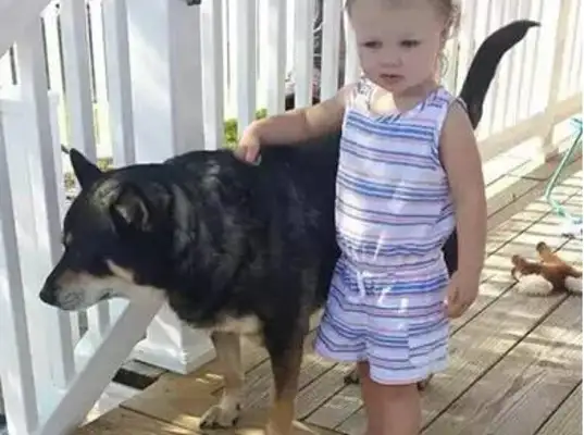 They found the dog and the daughter missing, and they slept together in love