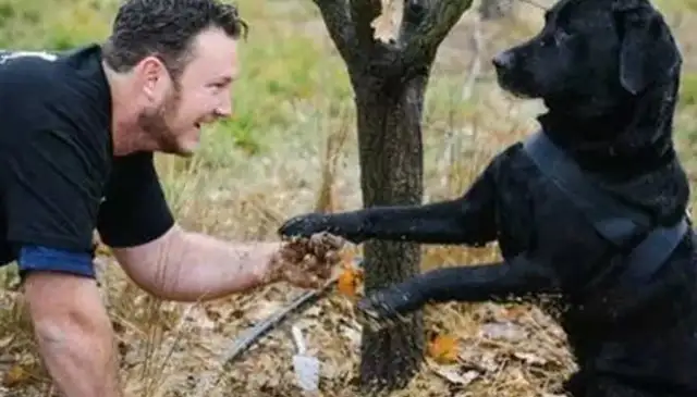 There are thousands of dogs in the world: but you'll never see one who can make the owner rich. Pass