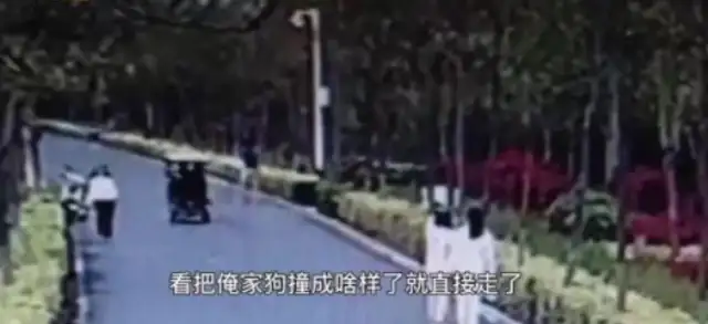 The dog's not tied up to break the bike boy's bones. The dog owner's reaction is making the net