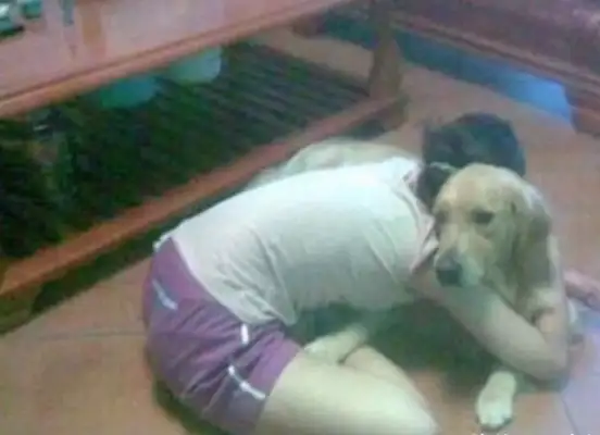 Women love dogs, they sleep with dogs for two years, and then there's an accident