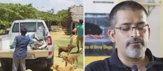 I can't stand a stray dog being arrested and killed