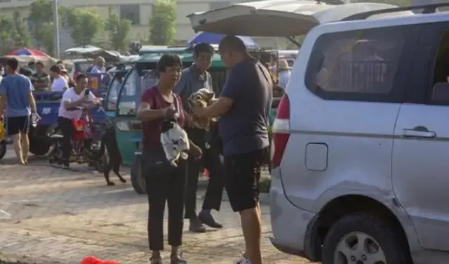 Rural Dog Market is cheap, Henan customers buy the whole car: buy dogs differently