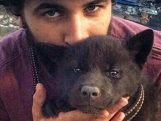 The man found a stray dog on the side of the road and adopted him for four months