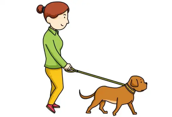 "The Cat and the Dog" is safe