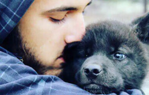 The man found a stray dog on the side of the road and adopted him for four months