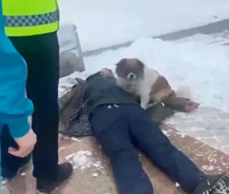 When the master fainted, the dog stood by him, and the police came and drove him away