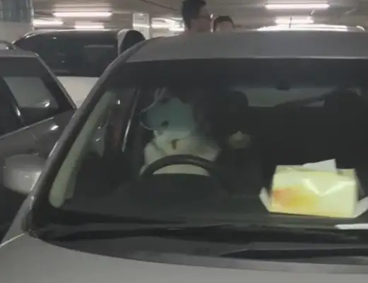 The man finds out he's got a hush-chill in the car, walks in and laughs, man: how to be a real dog