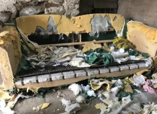 The dog bit the couch. More than 10,000 bites back and forth
