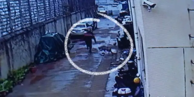 When a man is chased by a golden fur dog, he falls and breaks his bones
