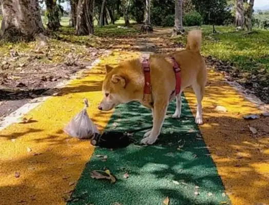 The more they get out of the rope, the more they get out of the way
