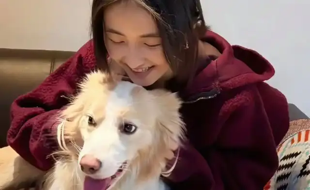 This puppy was adopted outside the scenes of Zhang's Maple