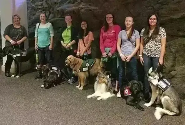 Smile, this two-hu is really a search dog