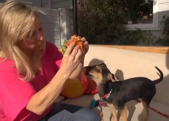 The dog was cut off and thrown into the river, and he was rescued and shed a moving tear