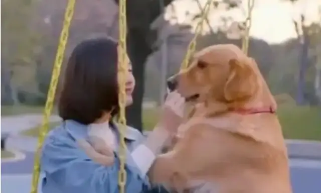 Thanks to the dog, the consequences would be disastrous。