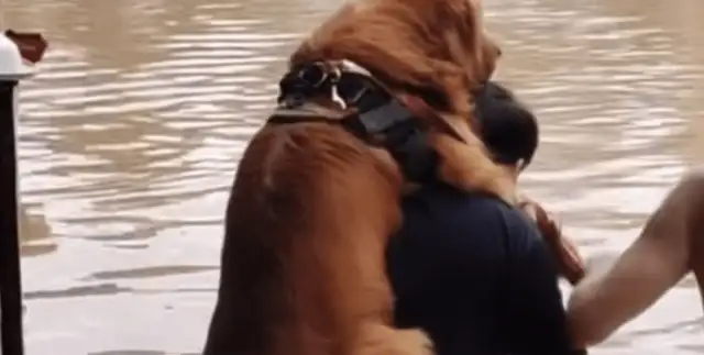 The rain is cold, there's love in the world