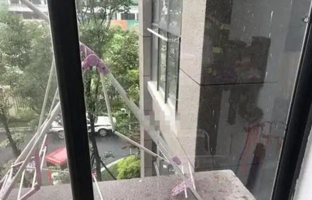Dogs fall from the high floors