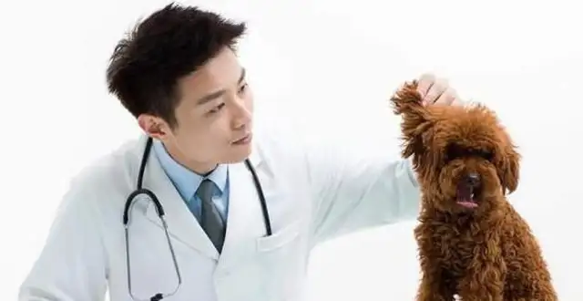Teddy's 