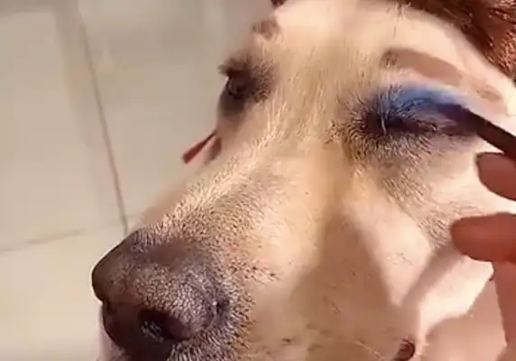 It's a little scary to do a doggy-doggie thing and then look like