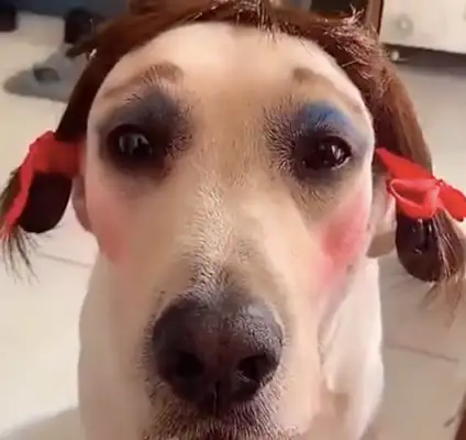 It's a little scary to do a doggy-doggie thing and then look like 