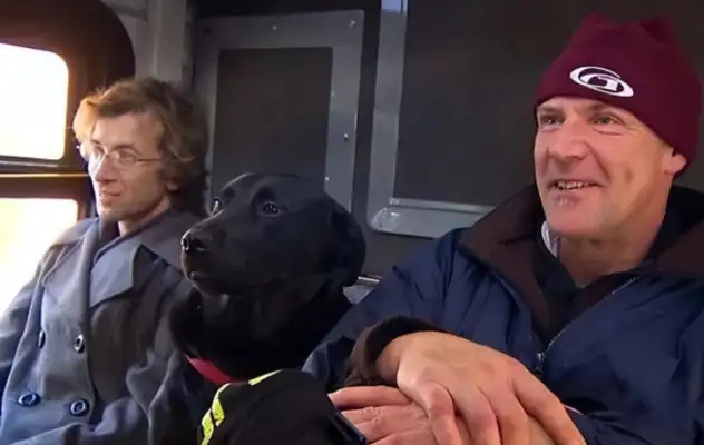 The dog took the bus out on his own, and it went red