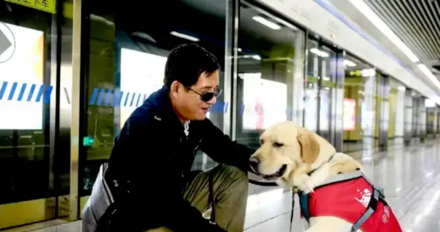 The death of a guide dog in Hong Kong caused social attention and reflection on the visually impaired and guide dogs
