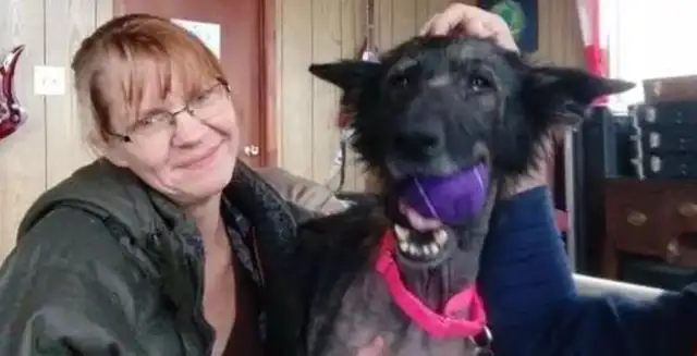 Skinny stray dogs die and bite toy balls to save people: it's waiting to play with the owner & #8230; & #8230;