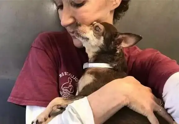 A 14-year-old blind dog whose dog was changed by this man