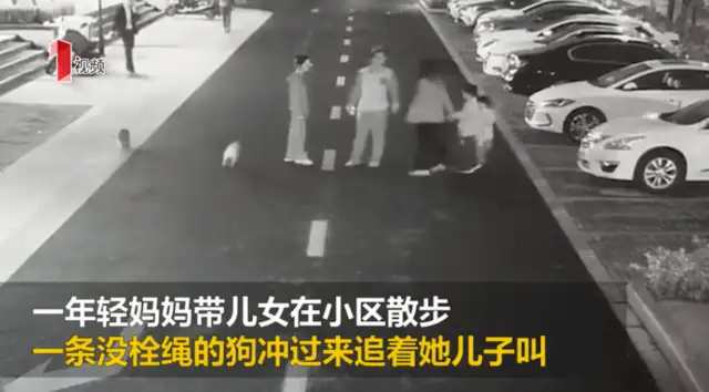 The young mother was beaten to a fracture by a man without a dog