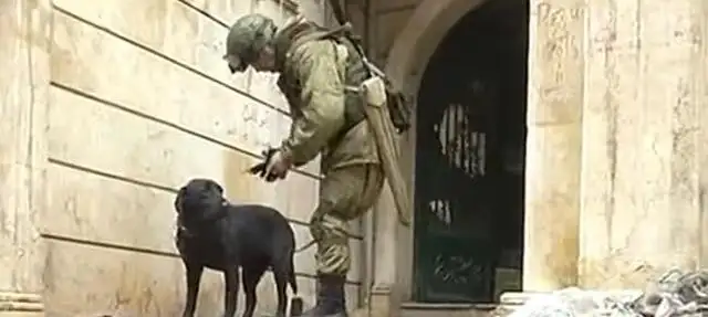 The world's highest sacrifice is not German, but most Chinese families raise the dog