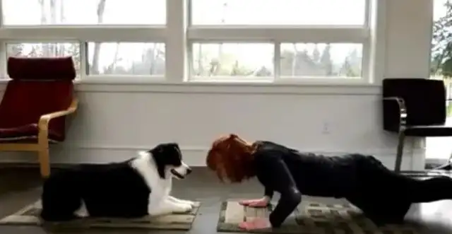 The dog and the hostess exercise their bodies, and it's not the dog that's synchronizing