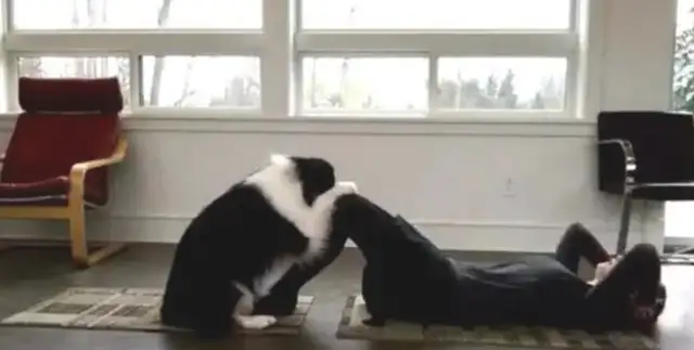 The dog and the hostess exercise their bodies, and it's not the dog that's synchronizing