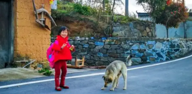 Deep in the bridge, the bark of a dog was heard