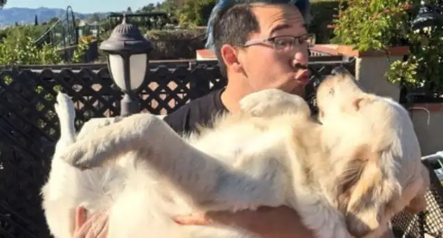 A man mistreats a dog for his ex-wife