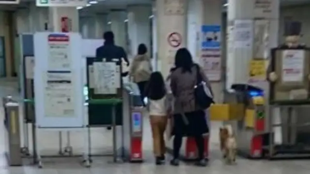 Chai Dog wants to get into the station with a high advantage ticket