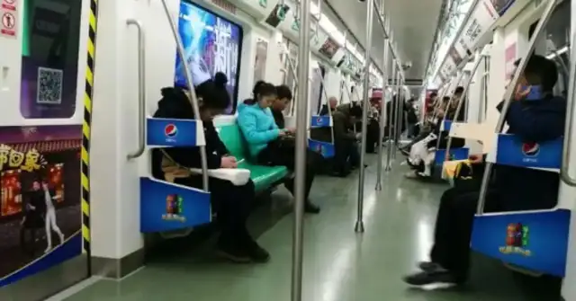Long spring pets are not allowed to travel by rail, but guide dogs can sit