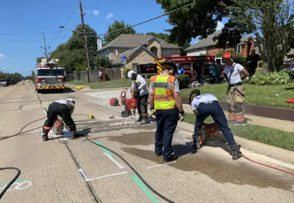 The 15-year-old dog was trapped in a drain for two days, and the fireman spent 10 hours digging for the pipe