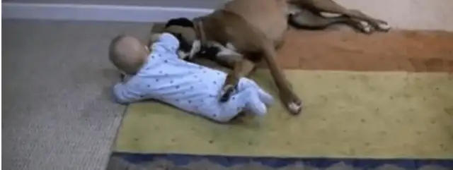 A man who lets a baby play with a dog, but a man who's happy about it