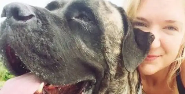 A 12-year-old dog is dying, and this is how a woman spends her last walk with a dog