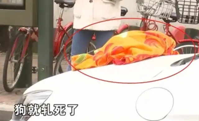 The girl was hit by a taxi without a leash and stopped the owner from leaving: pay me the same