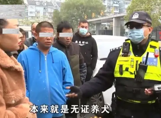 The girl was hit by a taxi without a leash and stopped the owner from leaving: pay me the same