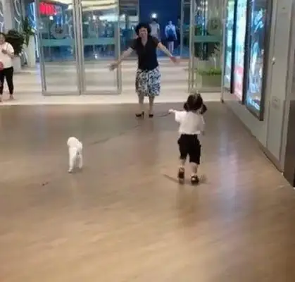 The little girl picked up Grandma with the dog, and she picked up the dog, girl: It's real