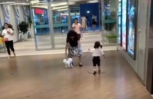 The little girl picked up Grandma with the dog, and she picked up the dog, girl: It's real
