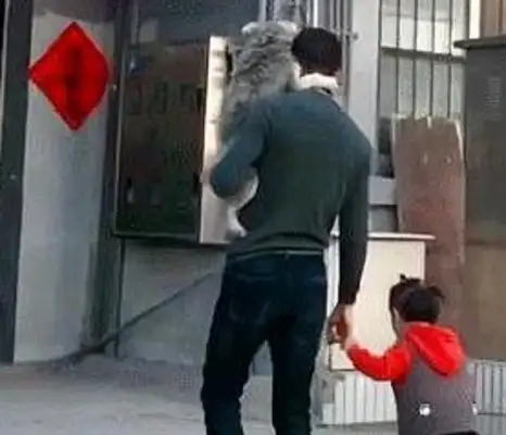 A man with a pet dog on his shoulder with his daughter in his hand. Warm. Heart