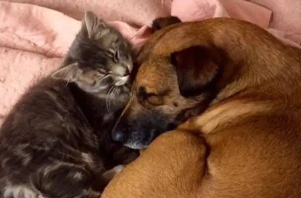 It's full of love