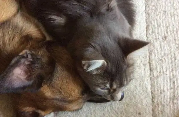 It's full of love