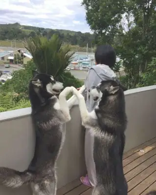 Two-hundred-hundred, one for the grandmother and two months later: are you the brother