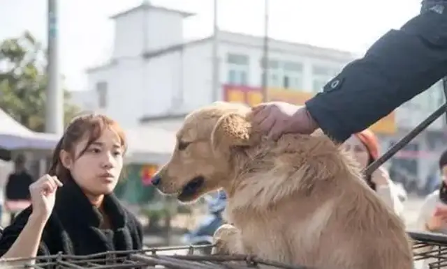 The woman at Anhui Harbor calls herself the wife of the master of the Kyuzhou dinner, and the dog screams to kill your child