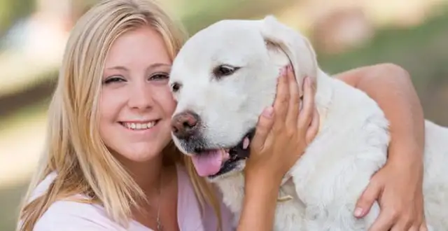Short-lived dogs, usually with these five features. I hope no one's hairy