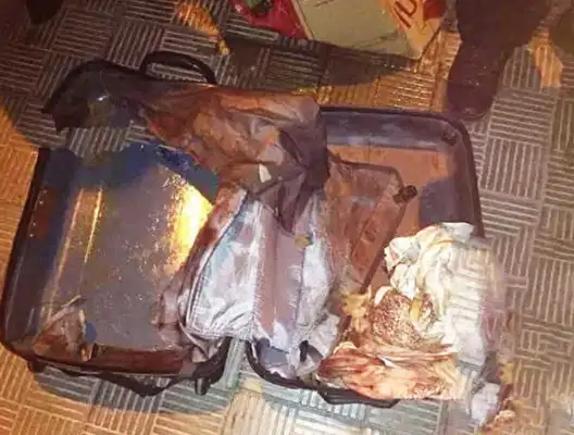 The dog was forced into a box, and when he broke his luggage, he looked in the eye
