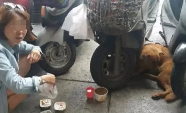 The dog was in front of the hospital for a week, and when he realized what was on his brand, he cried